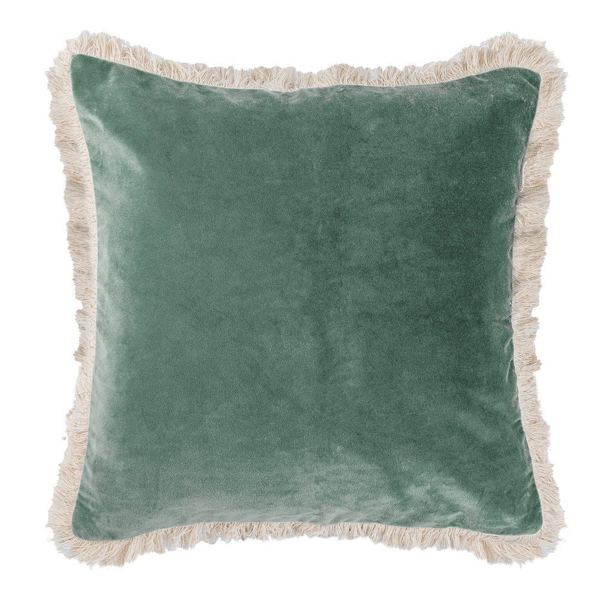 Coussin velours de coton ANDREA 50x50