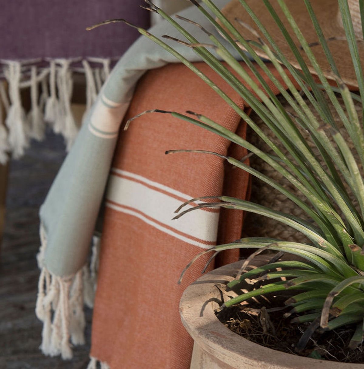 Fouta in cotton 100x200 MARSA