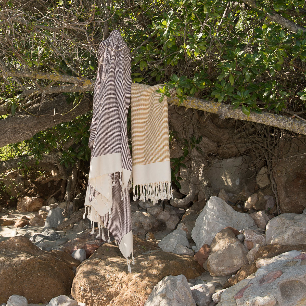 Fouta coton 100x200 RIO    febronie.com