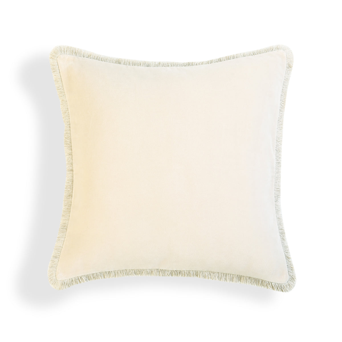 Housse de coussin velours de coton 50x50 RIVA    febronie.com