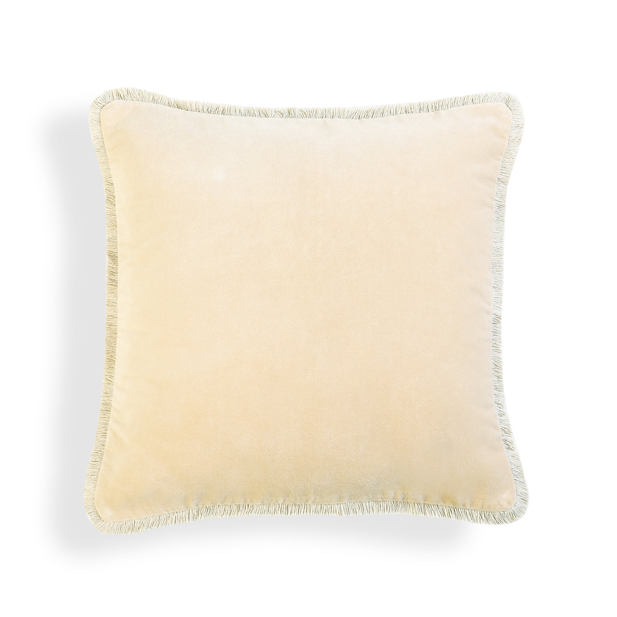 Housse de coussin velours de coton 50x50 RIVA    febronie.com