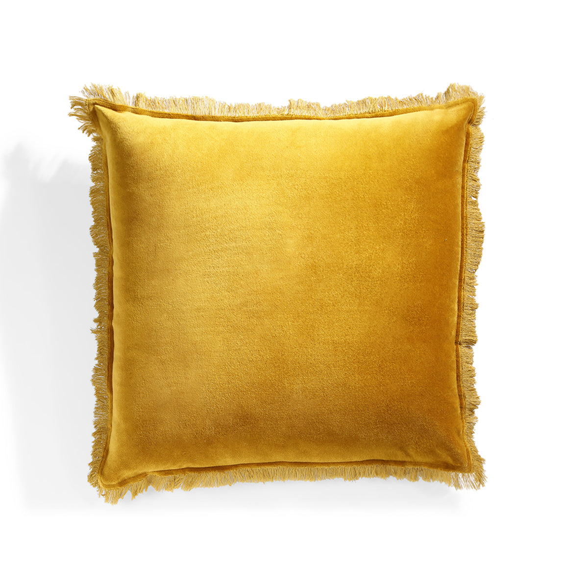 Coussin velours de coton 50x50 ISCHIA - jaune moutarde