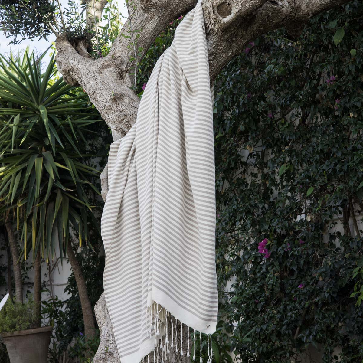 Jeté de canapé fouta XXXL coton HOSSEGOR taupe 200x300 – Febronie