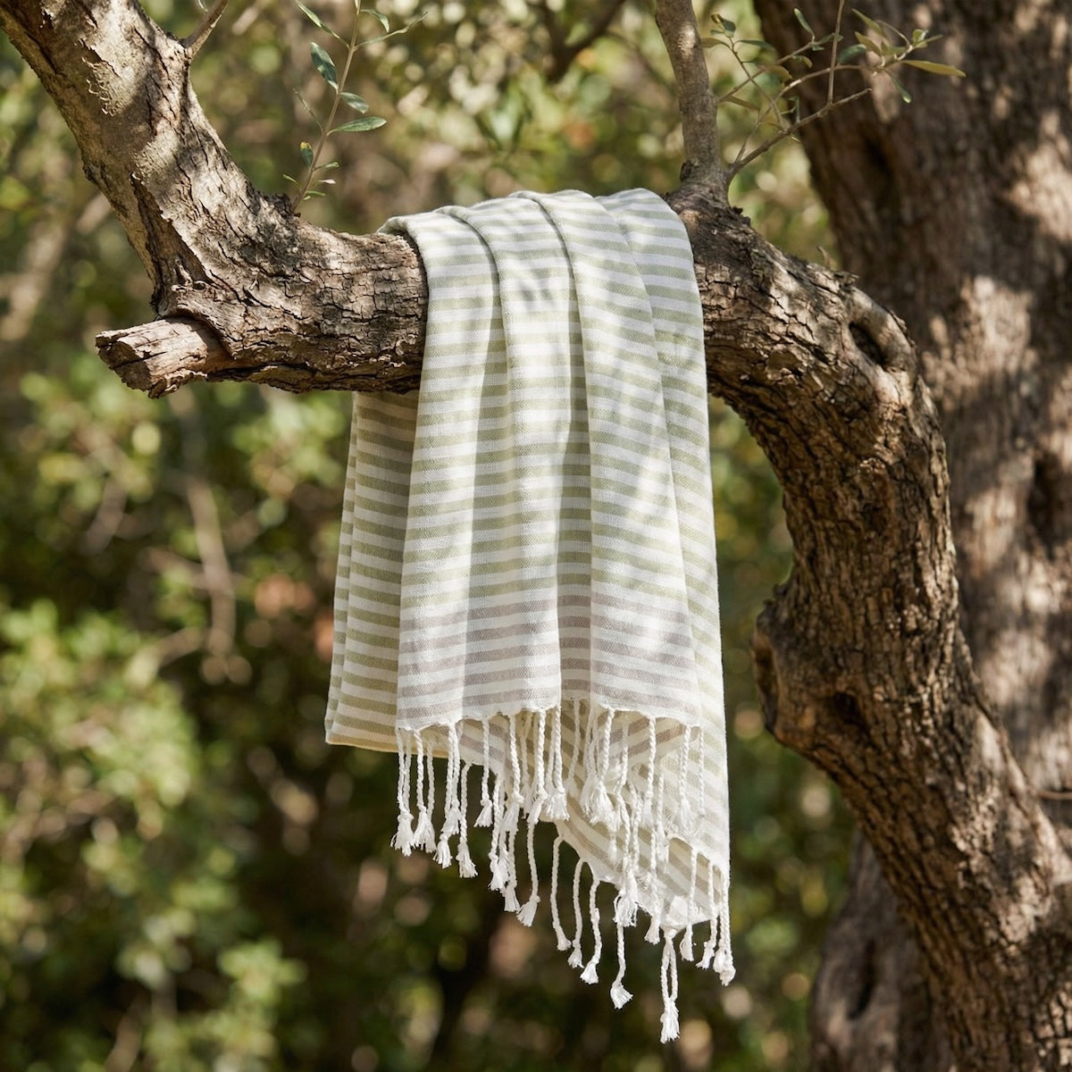 Fouta paréo coton 100x200 BORA BORA vert amande / taupe clair