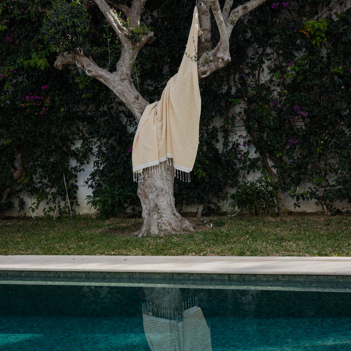 Lot de 2 foutas coton 100x200 HOSSEGOR jaune moutarde