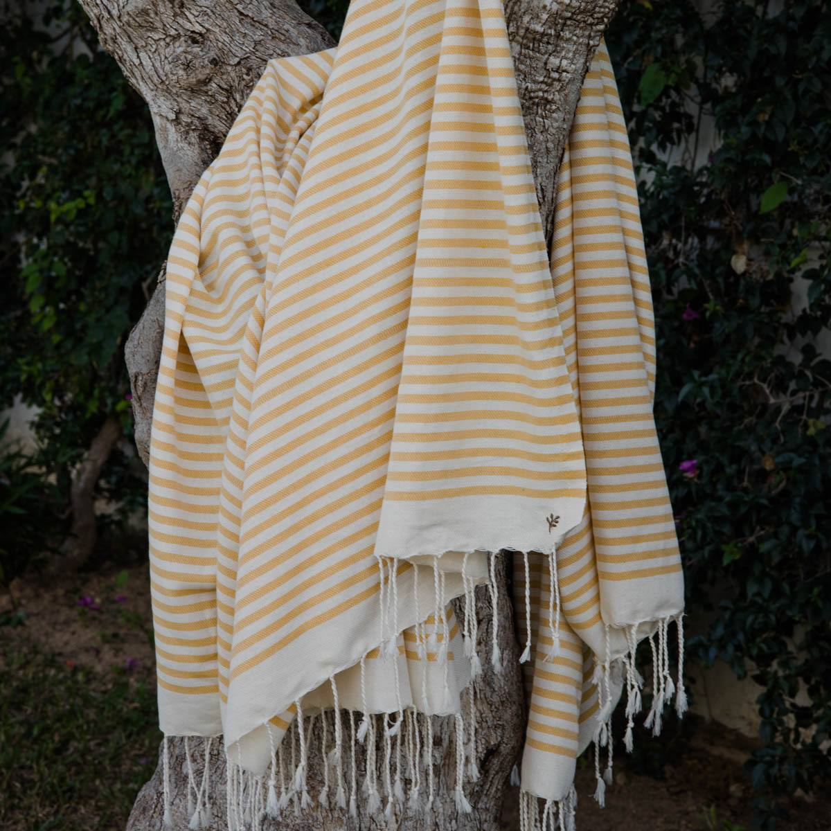 Lot de 2 foutas XXL coton 200x200 HOSSEGOR jaune moutarde